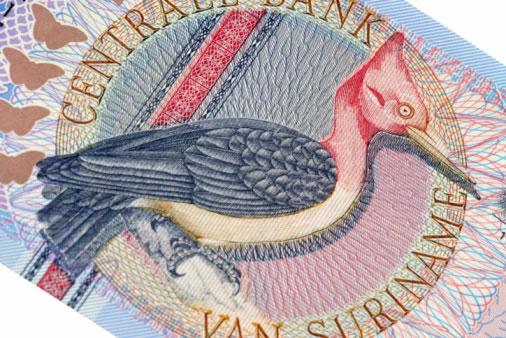 What Is The Suriname Guilder (SRG)?